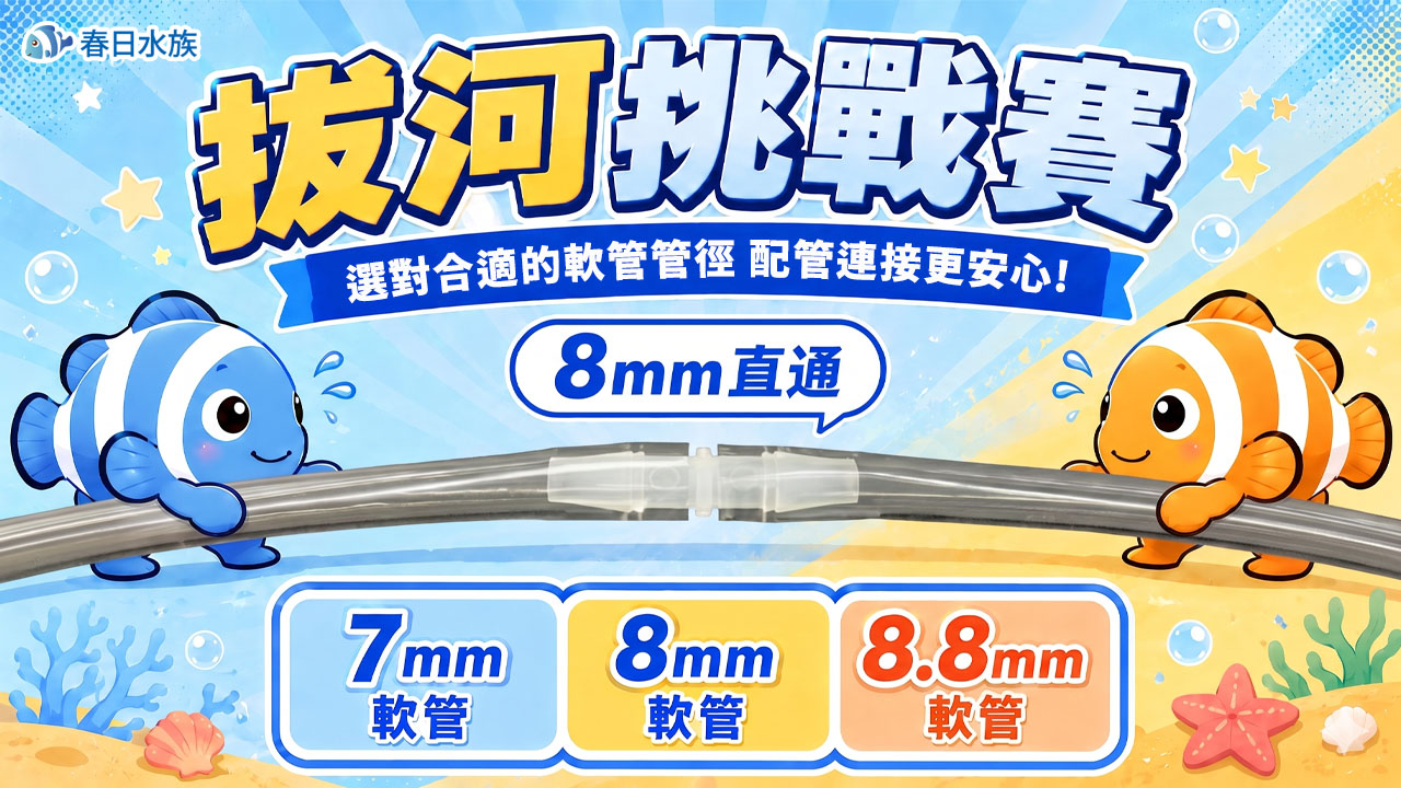 8mm直通拔河挑戰