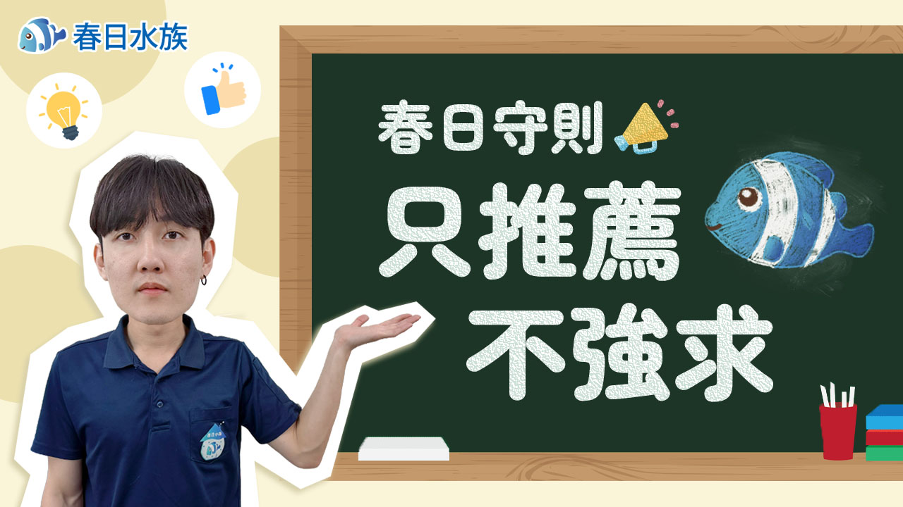 春日守則：只推薦 不強求