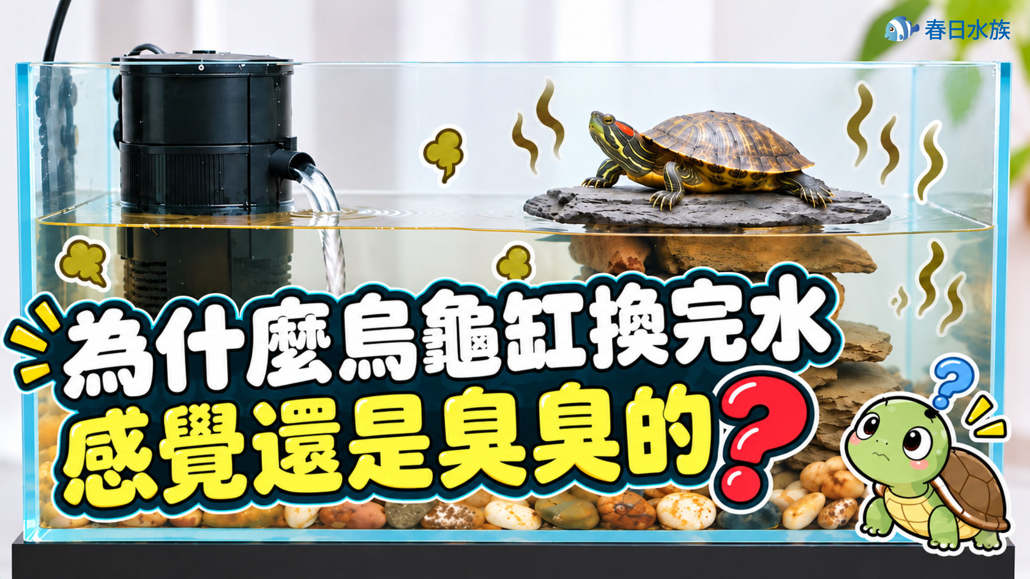 烏龜缸換完水臭臭的