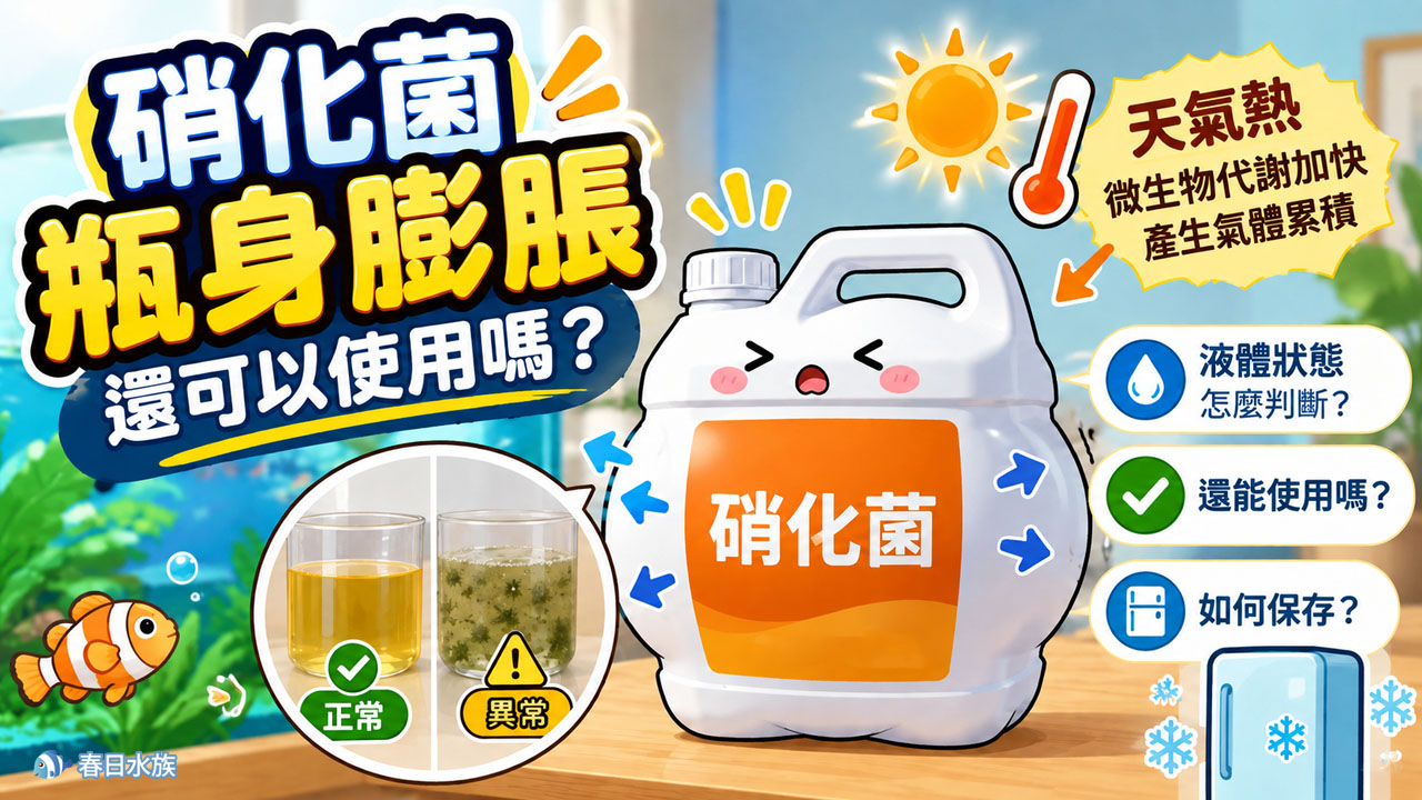 硝化菌瓶身膨脹