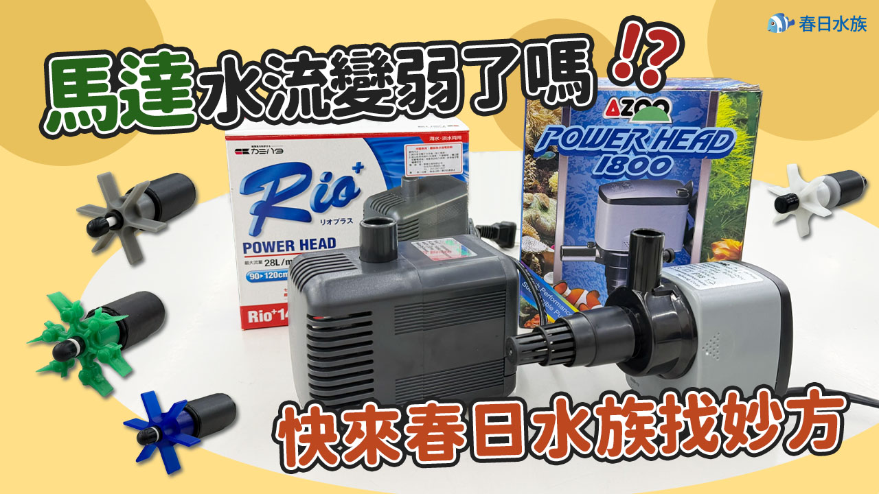 馬達水流變弱